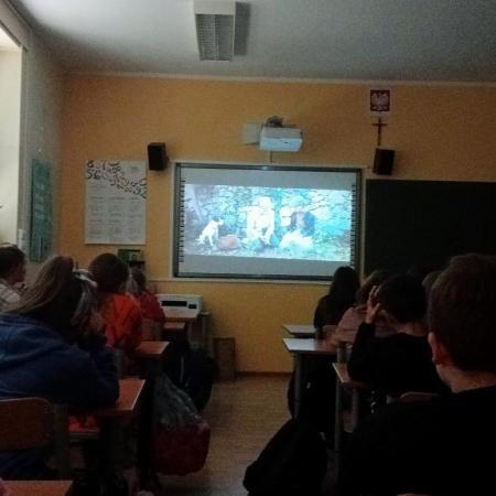 Wyświetl org. rozmiar