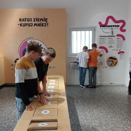 Wyświetl org. rozmiar