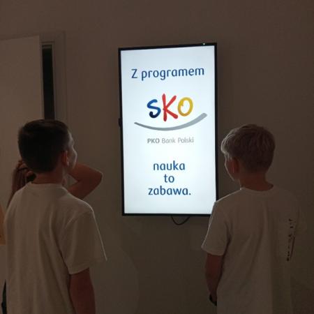 Wyświetl org. rozmiar
