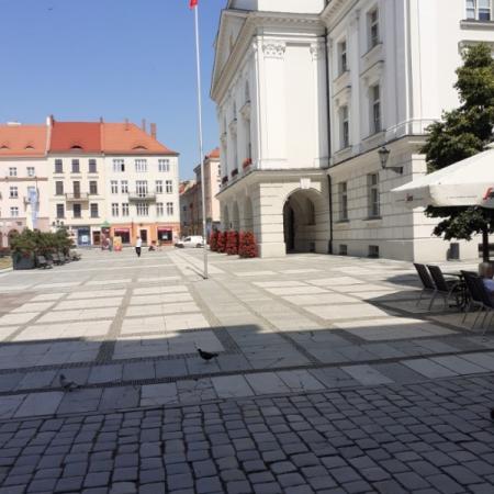 Wyświetl org. rozmiar