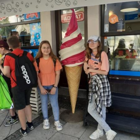 Wyświetl org. rozmiar