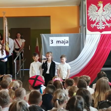 Wyświetl org. rozmiar