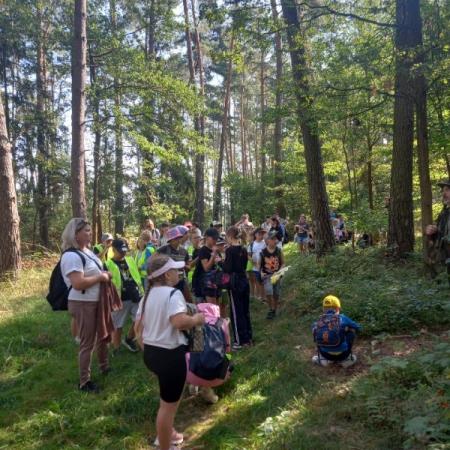 Wyświetl org. rozmiar