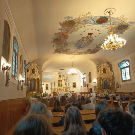 Wyświetl org. rozmiar