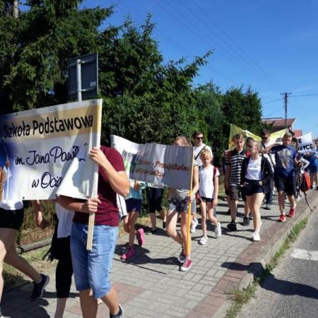 Wyświetl org. rozmiar