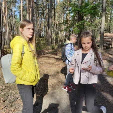 Wyświetl org. rozmiar