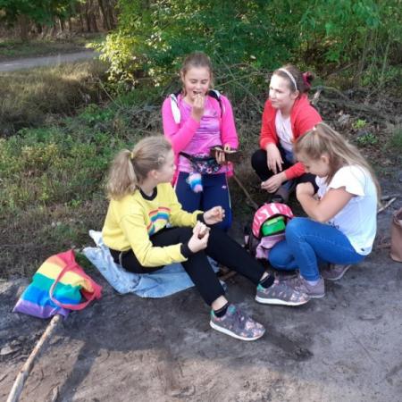 Wyświetl org. rozmiar