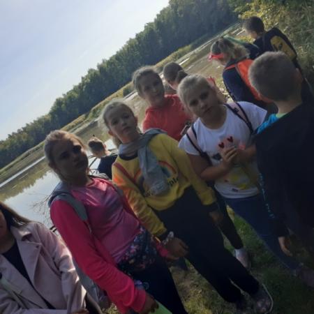 Wyświetl org. rozmiar
