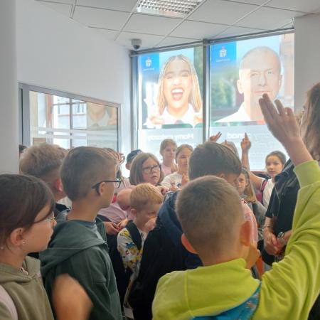Wyświetl org. rozmiar