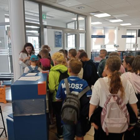 Wyświetl org. rozmiar
