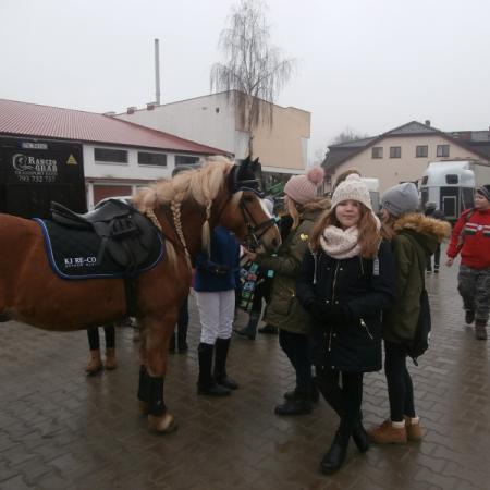 Wyświetl org. rozmiar