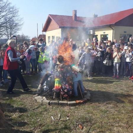 Wyświetl org. rozmiar