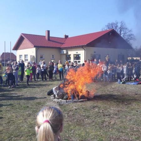 Wyświetl org. rozmiar