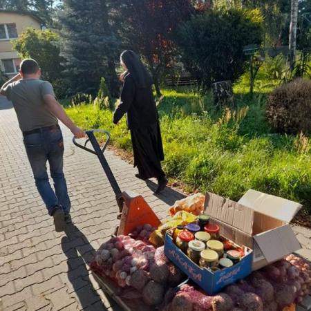 Wyświetl org. rozmiar